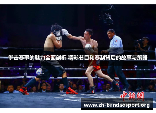 拳击赛事的魅力全面剖析 精彩节目和赛制背后的故事与策略 拳击赛事的魅力全面剖析 精彩节目和赛制背后的故事与策略