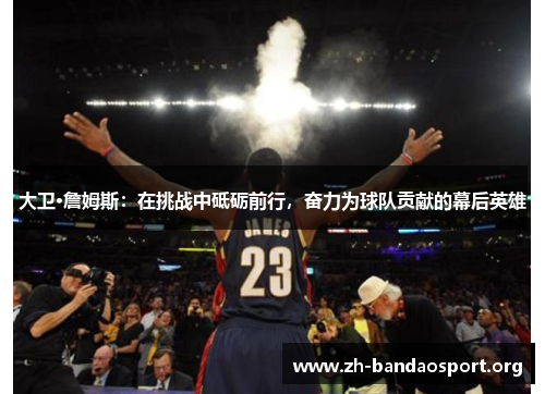 大卫·詹姆斯:在挑战中砥砺前行,奋力为球队贡献的幕后英雄 大卫·詹姆斯:在挑战中砥砺前行,奋力为球队贡献的幕后英雄