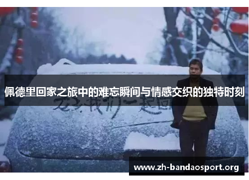 佩德里回家之旅中的难忘瞬间与情感交织的独特时刻 佩德里回家之旅中的难忘瞬间与情感交织的独特时刻