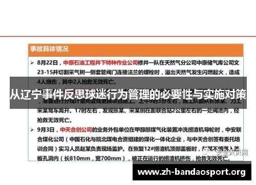 从辽宁事件反思球迷行为管理的必要性与实施对策 从辽宁事件反思球迷行为管理的必要性与实施对策