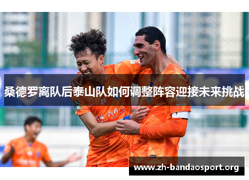 桑德罗离队后泰山队如何调整阵容迎接未来挑战 桑德罗离队后泰山队如何调整阵容迎接未来挑战
