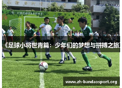 《足球小将世青篇:少年们的梦想与拼搏之旅》 《足球小将世青篇:少年们的梦想与拼搏之旅》