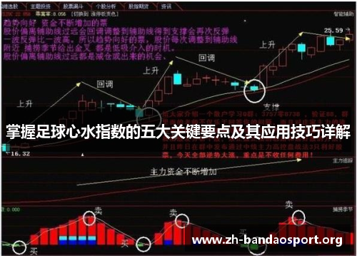 掌握足球心水指数的五大关键要点及其应用技巧详解 掌握足球心水指数的五大关键要点及其应用技巧详解