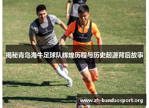 揭秘青岛海牛足球队辉煌历程与历史起源背后故事 揭秘青岛海牛足球队辉煌历程与历史起源背后故事
