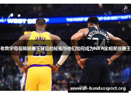 老詹字母哥姚明票王背后的秘密与他们如何成为NBA全明星投票王 老詹字母哥姚明票王背后的秘密与他们如何成为NBA全明星投票王