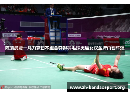 陈清晨贾一凡力克日本组合夺得羽毛球奥运女双金牌再创辉煌 陈清晨贾一凡力克日本组合夺得羽毛球奥运女双金牌再创辉煌